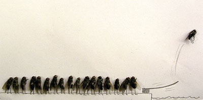 dead-flies-art