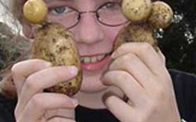 Alien Potatoes