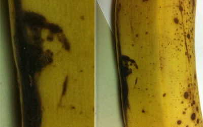 Banana… Jesus?