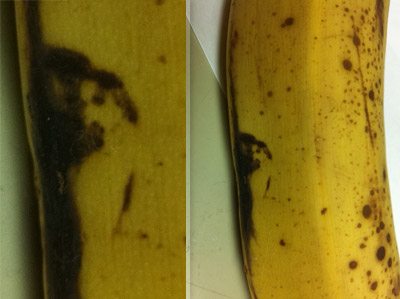 Banana… Jesus?