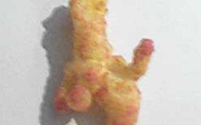 Loch Ness Cheeto