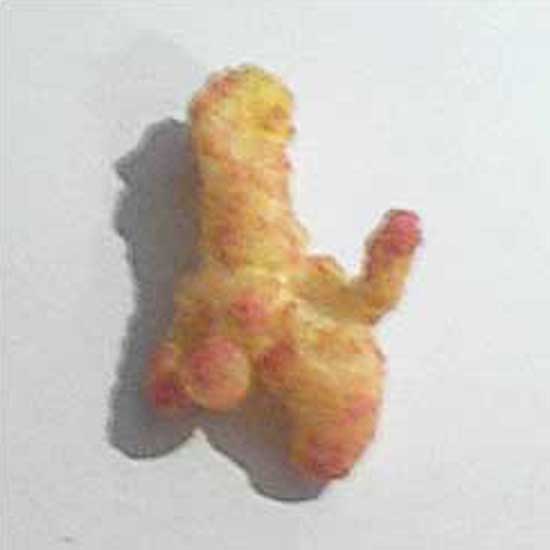 Loch Ness Cheeto