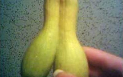 Conjoined Squash