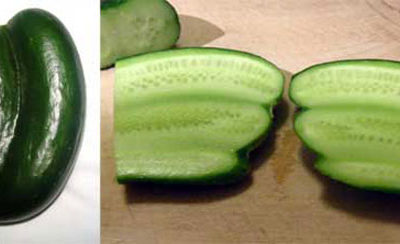 Cu-Cu-Cucumber!