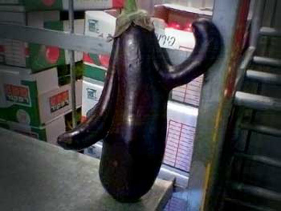 Dancing Eggplant