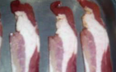 Elvis Bacon