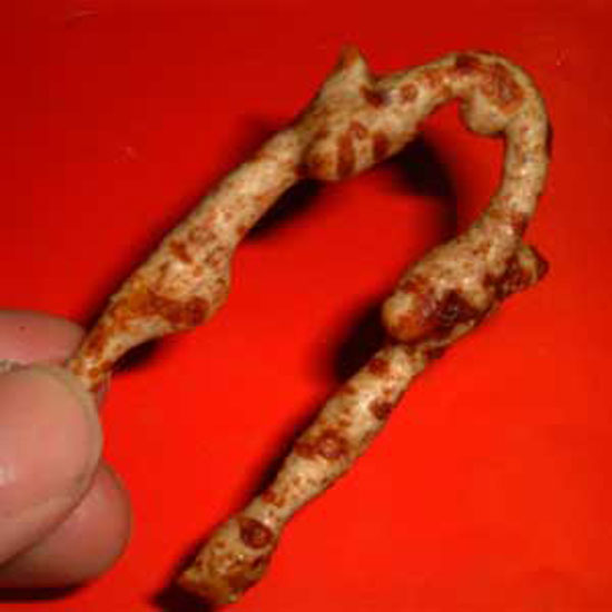 Freaky Twiglet