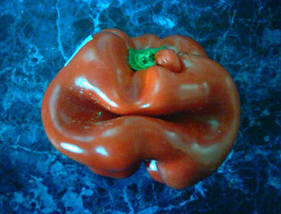 Gregory Peck Pepper