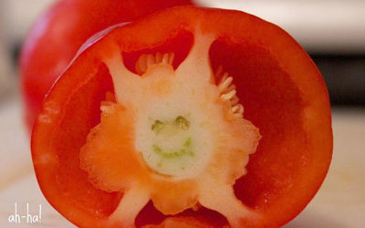 Happy-on-the-Inside Pepper
