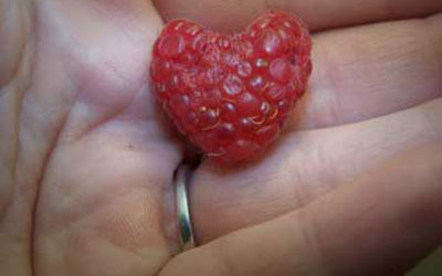 Heart Raspberry