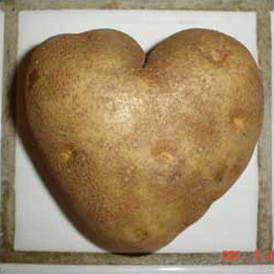 Heart Potato