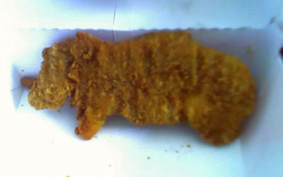 The Hippo Nugget