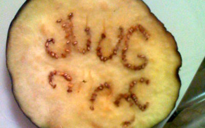 The Mysterious Message of ‘JUUG’