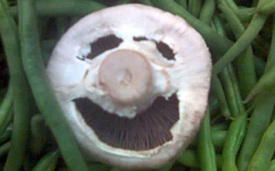 Happy-go-Lucky Mushroom Man