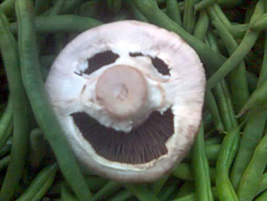 Happy-go-Lucky Mushroom Man