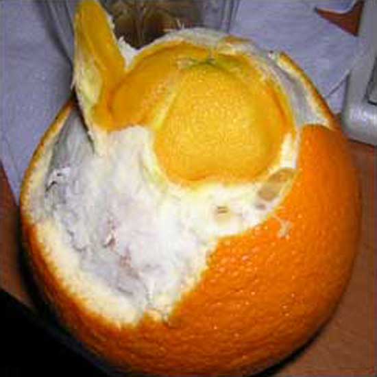 Orange-within-an-Orange #1