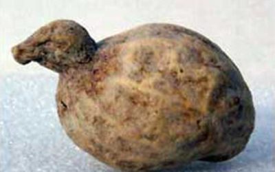 Peanut Fat Duck