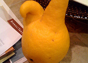 Peeps Lemon