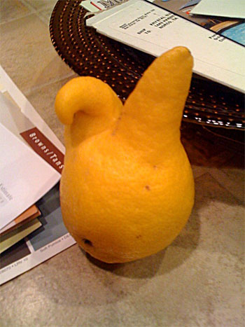 Peeps Lemon