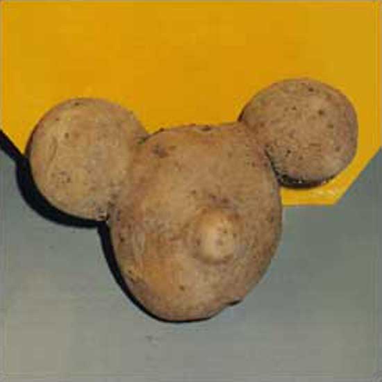 Potato Mickey