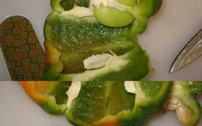 Pregnant Pepper