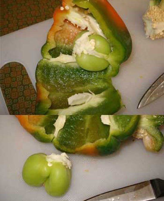 Pregnant Pepper