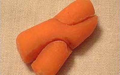 Hugging Carrots