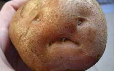 Saddest of Sad Potatoes