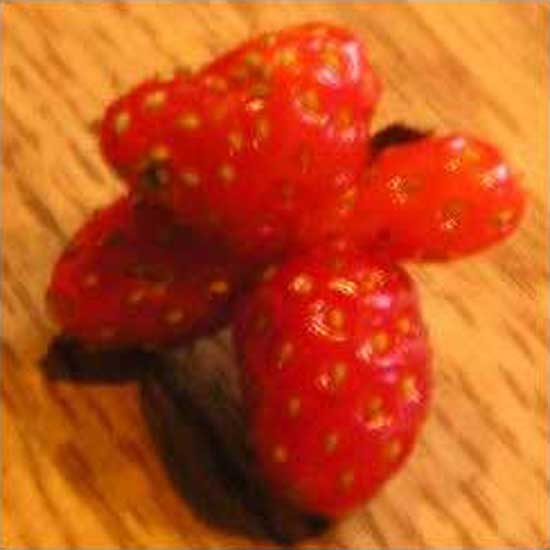 Six-Sided Strawberry
