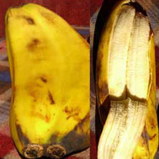 Banana Unsplit