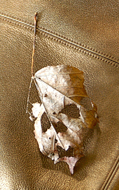 Skull Leaf