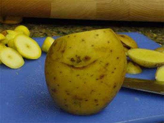 Sly Potato