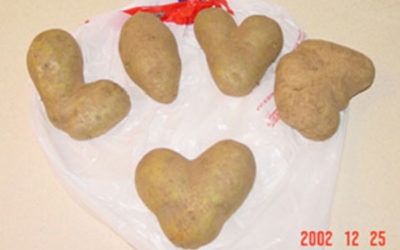 Tater Love