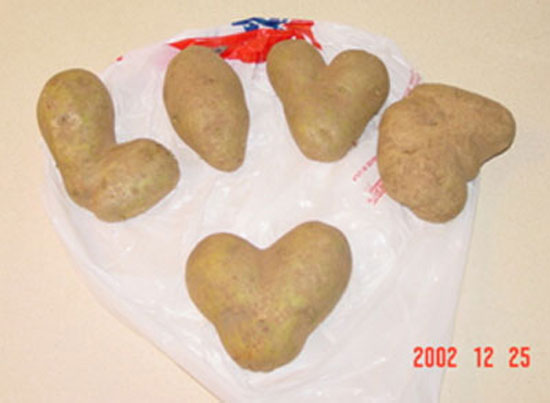 Tater Love